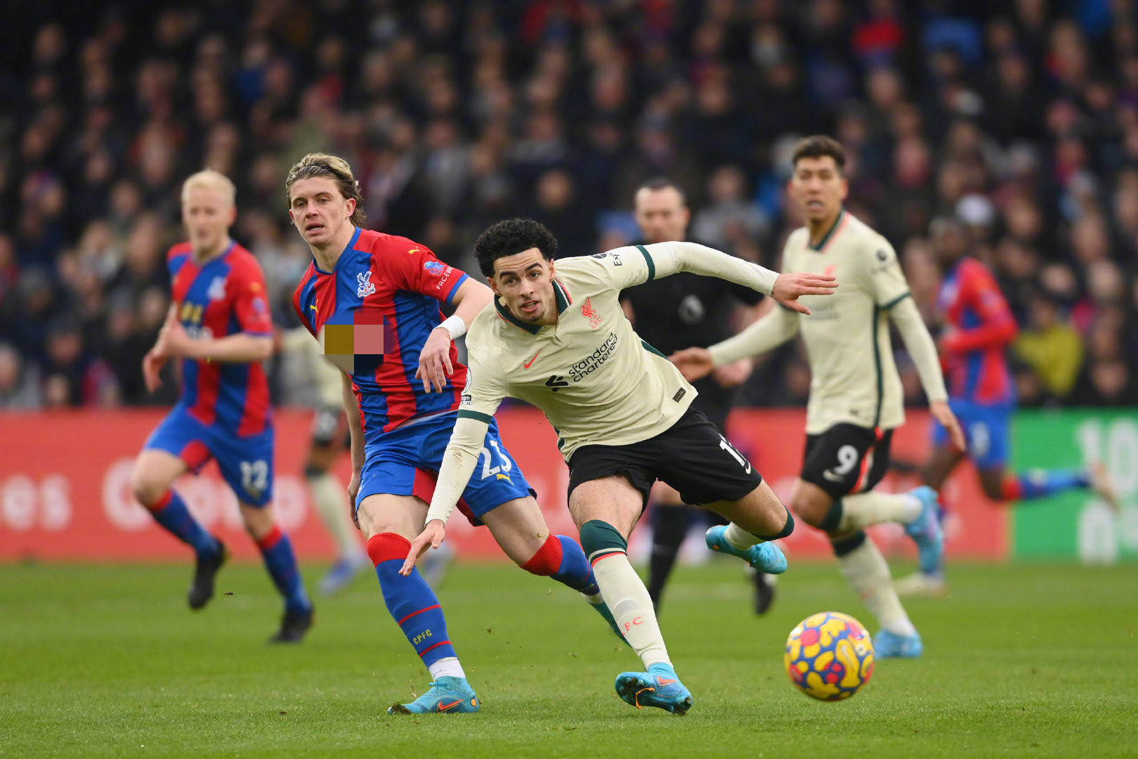 我们分析了 我们分析了